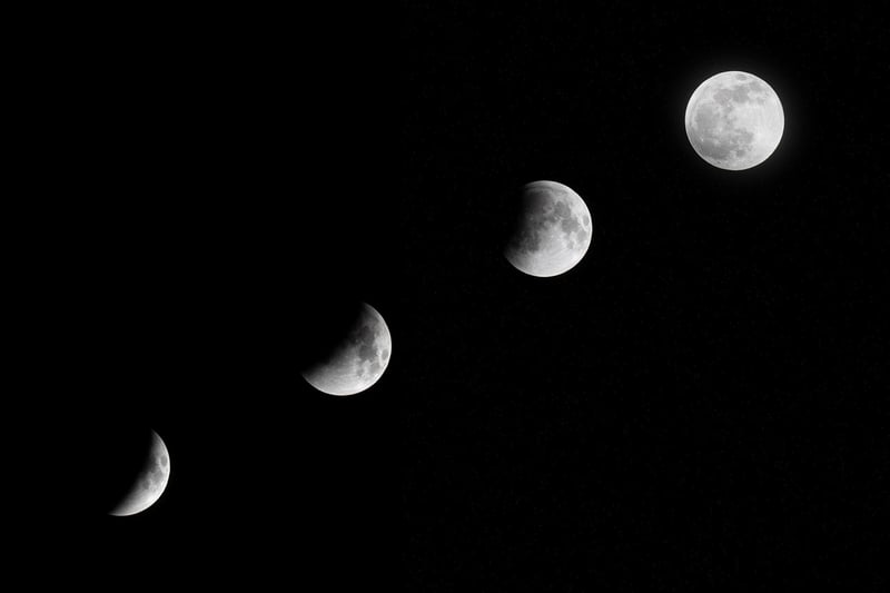 Moonlit Dance Floor